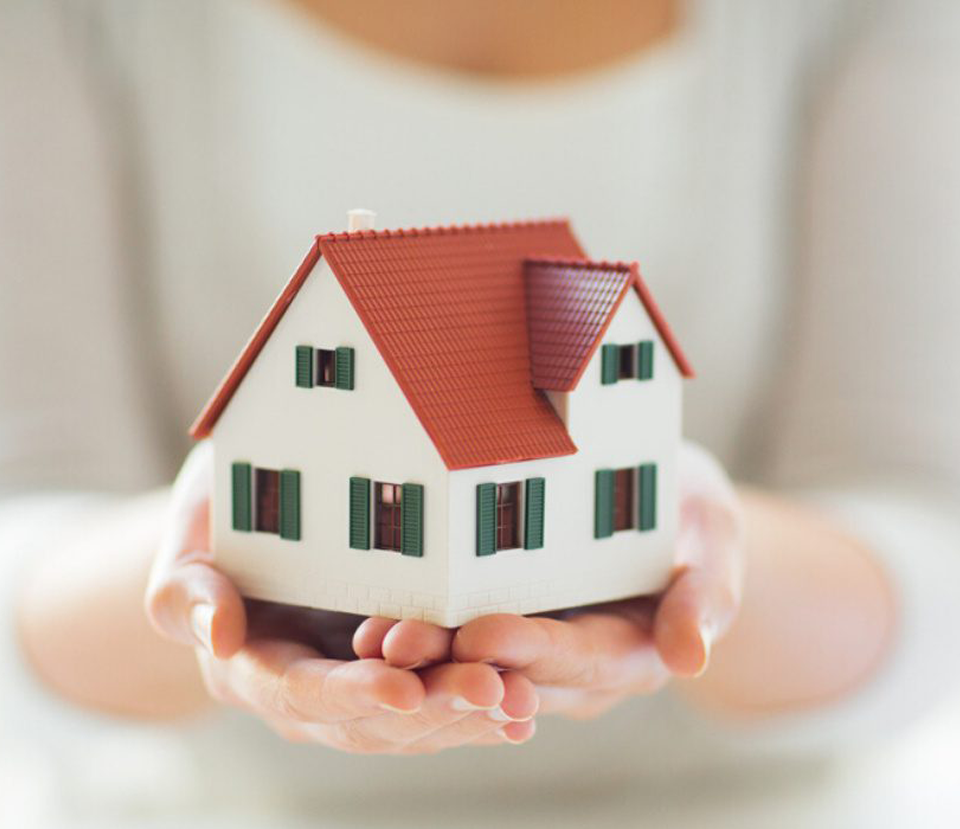 M S Properties - Paschim Vihar & Punjabi Bagh
